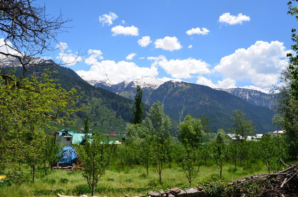 Gezellig Inn - Tree Hill Cottages&Kanyal Villas Manāli Exteriör bild